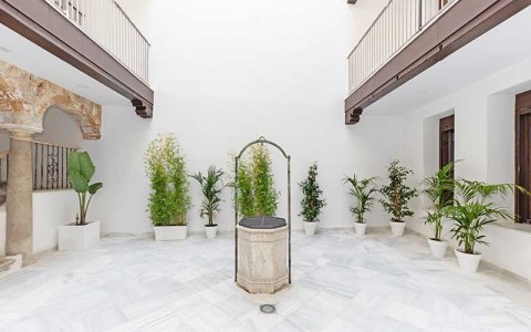 Image Not Found On Media Library